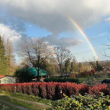 Bilocale In The Farm- Malpensa-Lago Maggiore Varallo Pombia Dış mekan fotoğraf