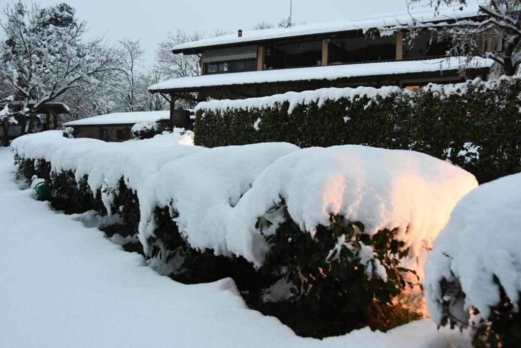 Bilocale In The Farm- Malpensa-Lago Maggiore Varallo Pombia Dış mekan fotoğraf