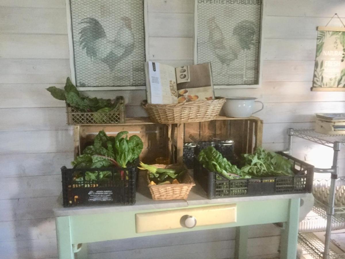 Bilocale In The Farm- Malpensa-Lago Maggiore Varallo Pombia Dış mekan fotoğraf