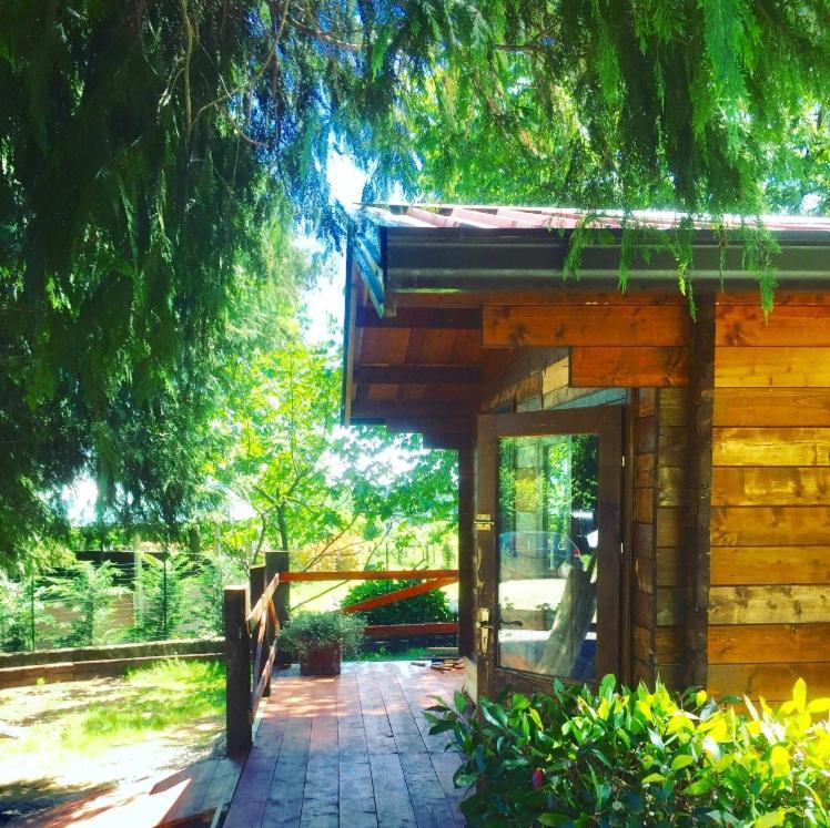 Bilocale In The Farm- Malpensa-Lago Maggiore Varallo Pombia Dış mekan fotoğraf